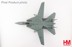 Bild von F-14B Tomcat "OEF" 163220, VF-143 Pukin Dogs 2002 . Metallmodell 1:72 Hobby Master HA5243. 